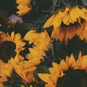 Meet your Posher, Tori